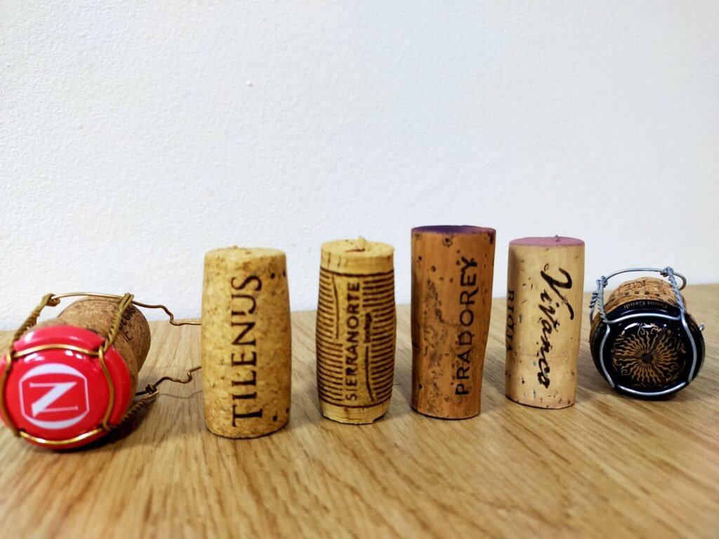 whatsapp image 2026 02 26 at 17.36.27 (1)