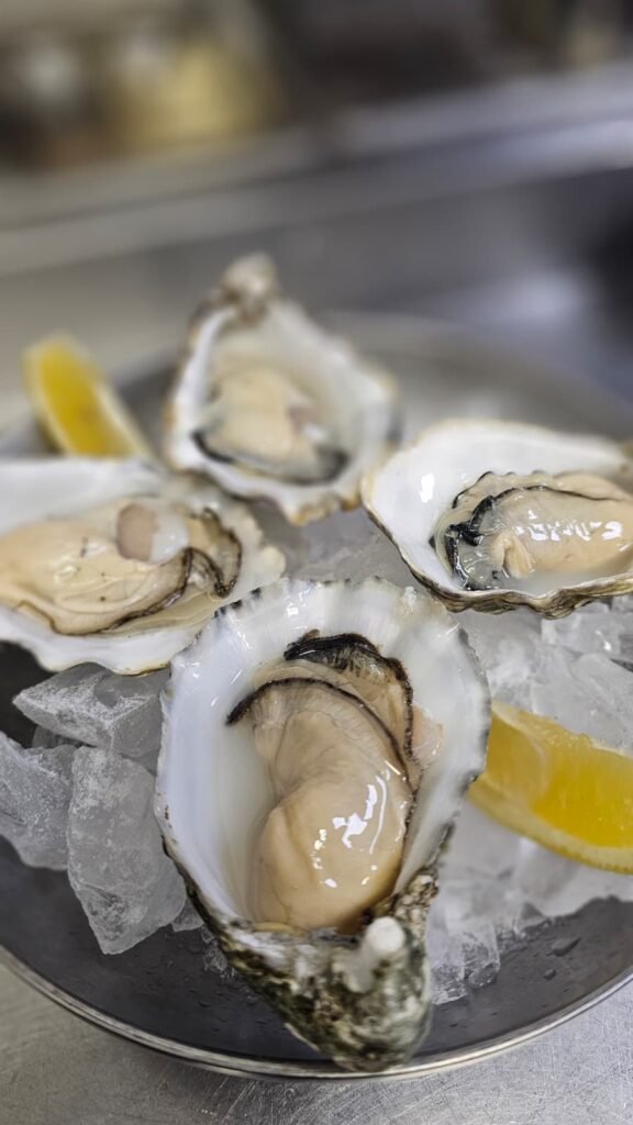 whatsapp image 2026 02 26 at 20.50.31